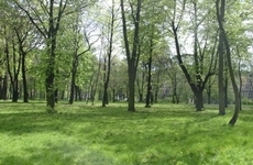 Park zamkowy