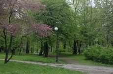 Park Zamkowy